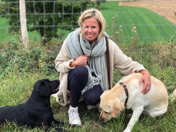 Hundeleine großer Hund