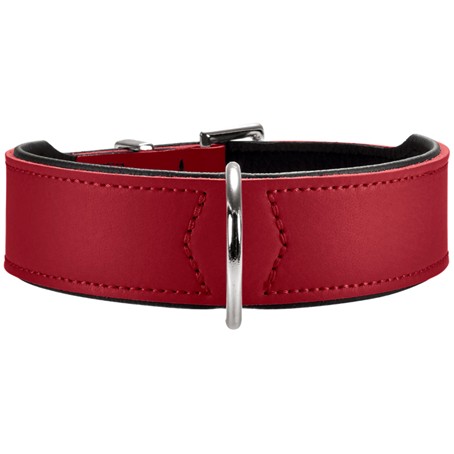 Halsband Hund breit Hunter basic
