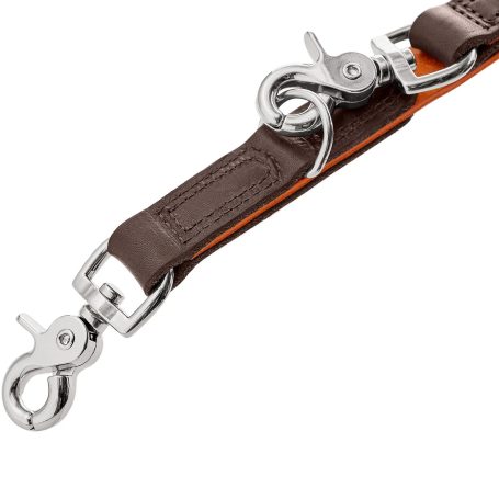 Hundeleine Leder
