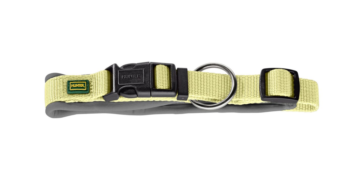 Halsband für Welpen