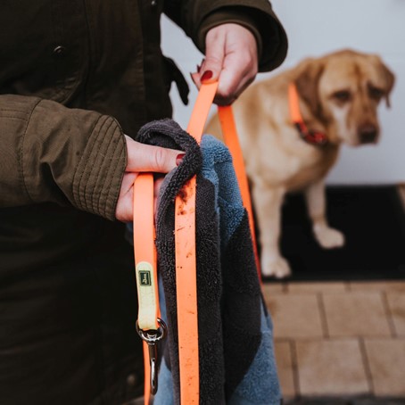 Schleppeline Hunter einfach sauber machen