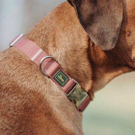 Halsband großer Hund Polyester